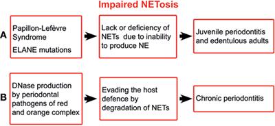 Janus-Faced Neutrophil Extracellular Traps in Periodontitis
